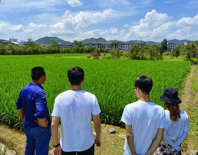 三下乡|商学院研究生帮扶团助力发展咸宁市通山县农业合作社大米加工