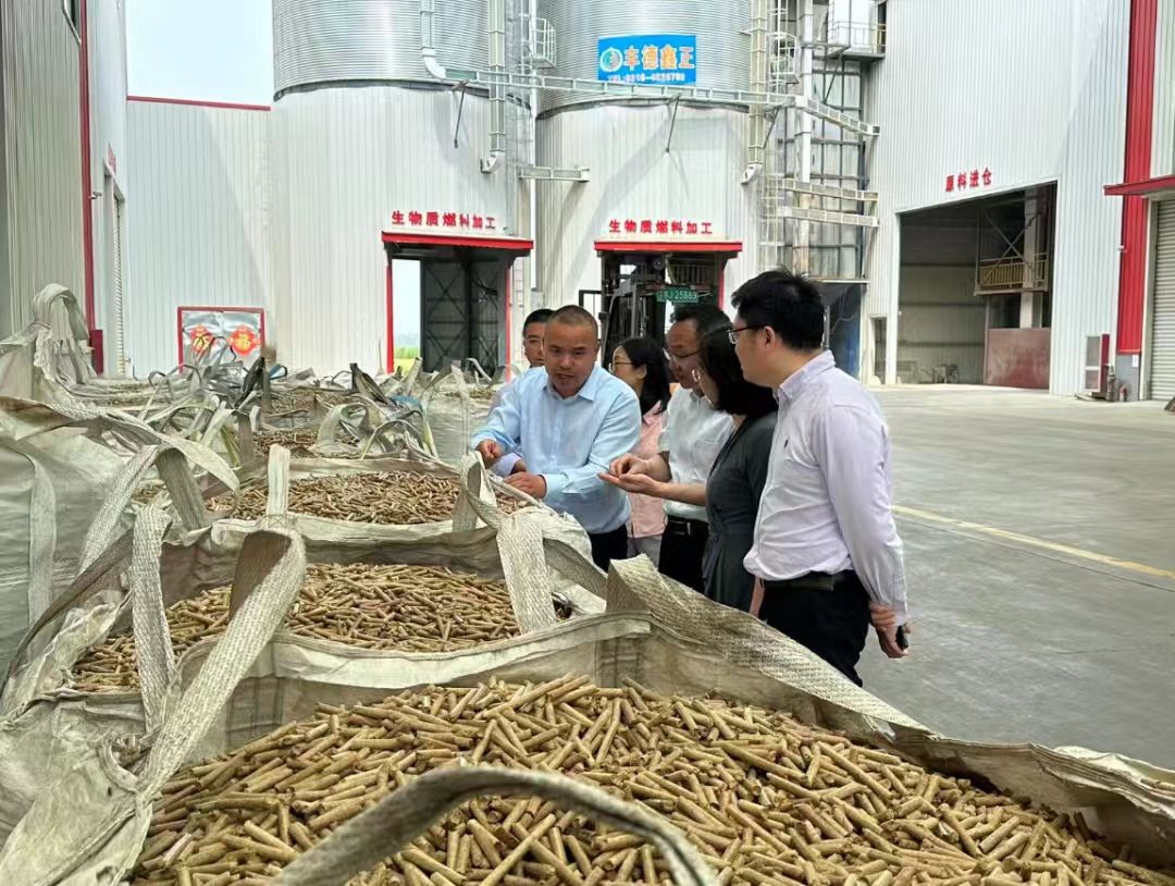 【最美人大代表】射阳县人大代表刘必新 我与大米的“梦”  从一粒种子到一碗米饭的不懈追求